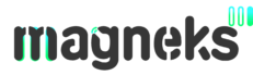 Magneks Elektronik